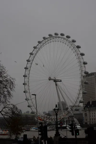 DSC_5806 (Large).JPG